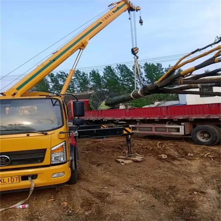 彭场镇100吨吊车租赁费用怎么算？3大关键因素+省钱技巧全解析